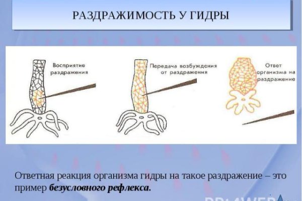 Kraken cc зеркало kr2web in