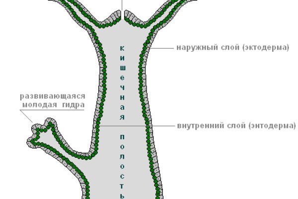 Кракен сайт что это