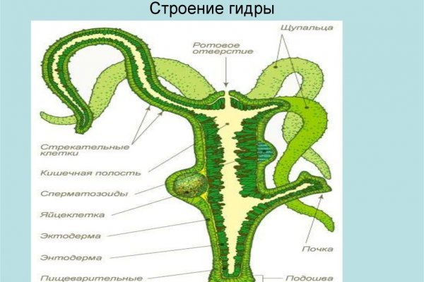 Не могу зайти в аккаунт кракен